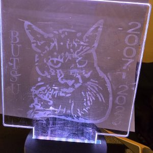 Acrylic Sign with Light